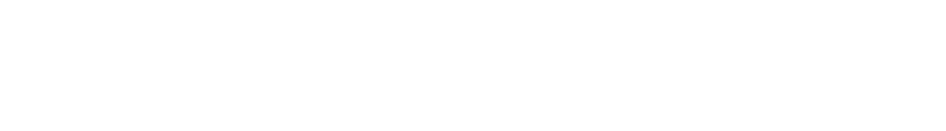 iCAUR V27